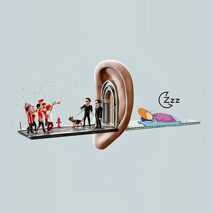 Silicone Noise Reduction Ear Plugs